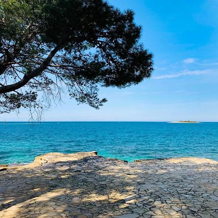 App Fiorela Poreč Zewnętrze zdjęcie