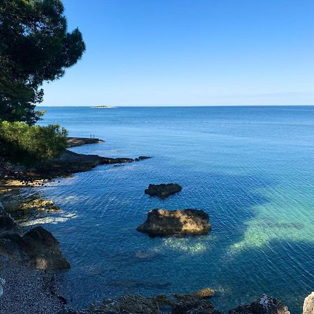 App Fiorela Poreč Zewnętrze zdjęcie